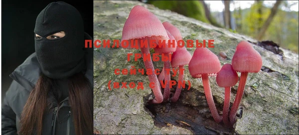 spice Арсеньев